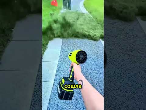 😂 Фокус пошёл не так! Она сдула мамин специальный травяной туалет 🌱💨🤣🚽 #shorts #shortvideo