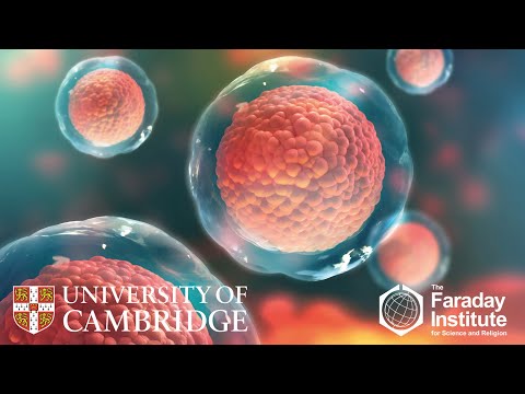 Genetics and Human Identity