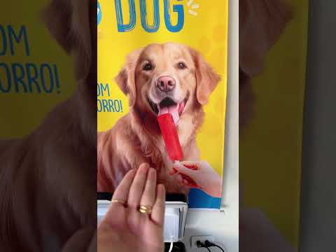 Picolé pra cachorr￼