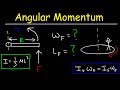Angular Momentum and Torque Concepts