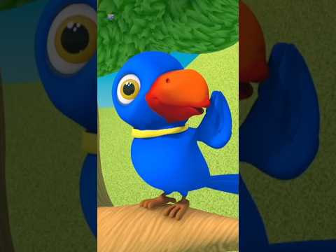 Main Tota Main Tota Song, मैं तोता हरे रंग का, Mithu Mithu Parrot Rhyme #kidssongs #shorts #cartoon