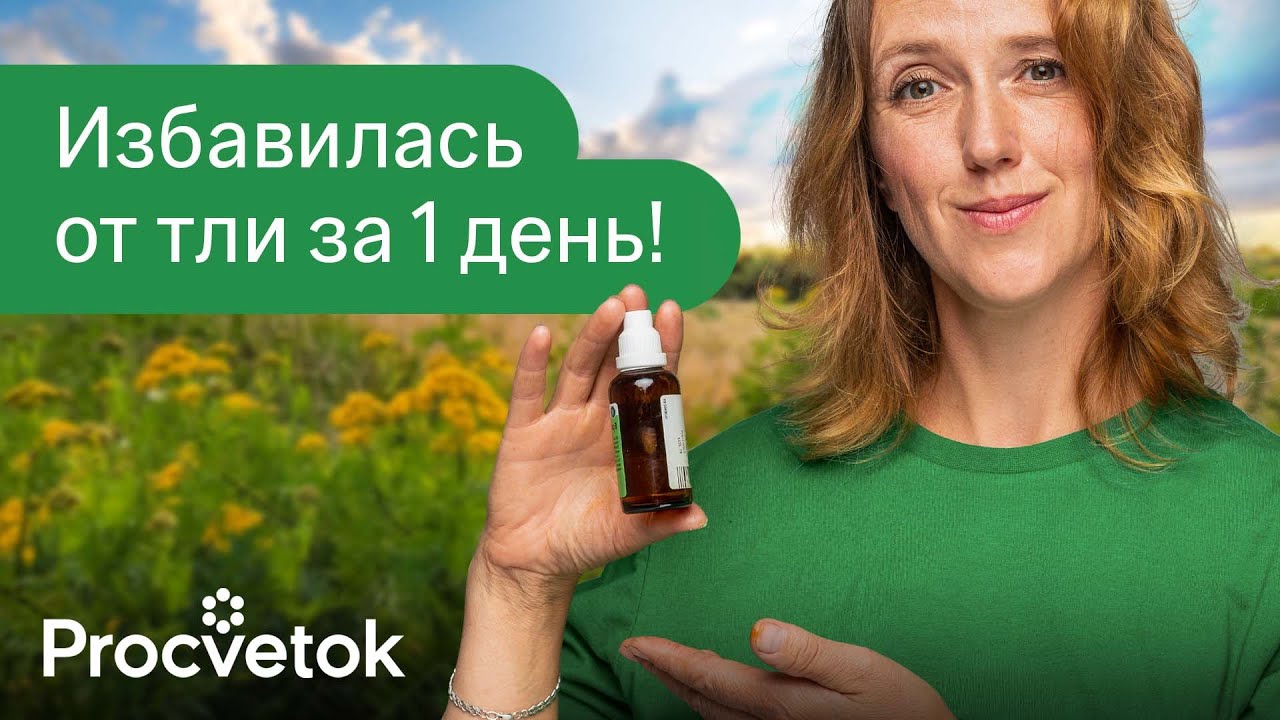 Вся тля осыпается на следующий день, если обработать ее этими доступными средствами