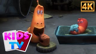 🌟 Larwa – Szynka Historia Pol | Zabawne kreskówki i Komedie dla Dzieci 🐛