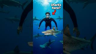I Did Swimming With Sharks? 🦈 😱 (SHOCKING) #shorts #vlog