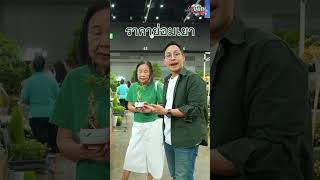 แคมป์ปิ้งคนเดียวตอนอายุ 73 ปี #เกษียณสำราญ #บ้านและสวนแฟร์Midyear2025 #ช็อปสนุกไม่มีเมื่อยชาเลนจ์