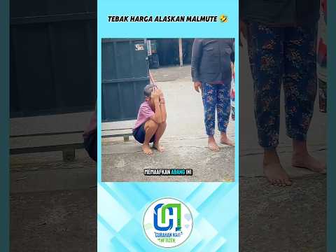 KETIKA NGGA FOKUS BERKENDARAAN DIJALAN RAYA #cerita #shortvideo #videoviral