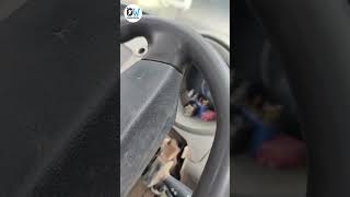 jeeto bs6 wiring repair Dumka Jharkhand Diesels #dieselworks #automobile #jeeto #mahindra #bs6