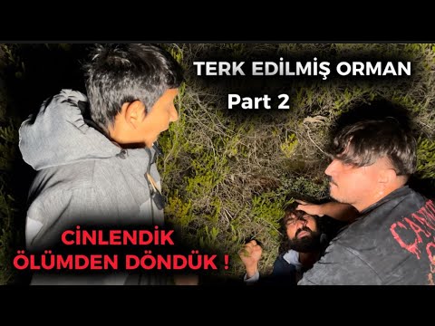 TERK EDİLMİŞ ORMANDA PUSU (beklenmedik Paranormal olaylar) @firatozmen.  @sinanpoyraz80 @ilyasyildir