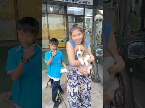 #แม่ผึ้งน้องพี