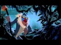 Understanding the Journey of Simba