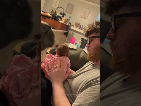 Phillies land All-Star closer Jhoan Duran ahead of MLB trade deadline ππ₯ #JhoanDuran