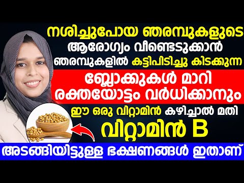 ഞരമ്പുകളുടെ ആരോഗ്യം വീണ്ടെടുക്കാൻ  വിറ്റാമിൻ B അടങ്ങിയിട്ടുള്ള ഭക്ഷണങ്ങൾ കഴിച്ചാൽ മതി | dr.hiba