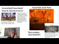 Ecological Succession and Interactions