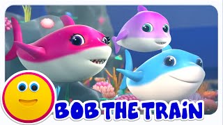 Bài Hát Của Cá Mập Con | Vần Điệu Thiếu Nhi Và Video Hoạt Hình Dành Cho Trẻ Em