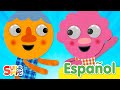 Conversational Spanish Basics