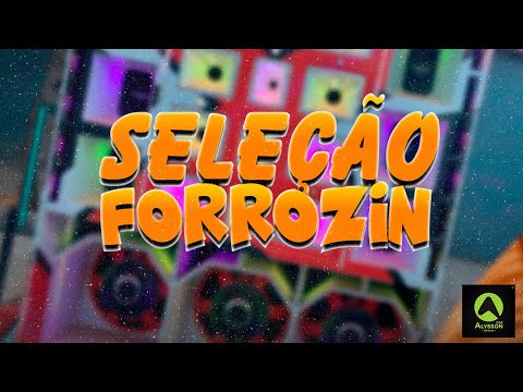 FORRÓZINHO ATUALIZADO SELEÇÃO - PRA PAREDÃO - MÚSICAS NOVAS DO TIK TOK