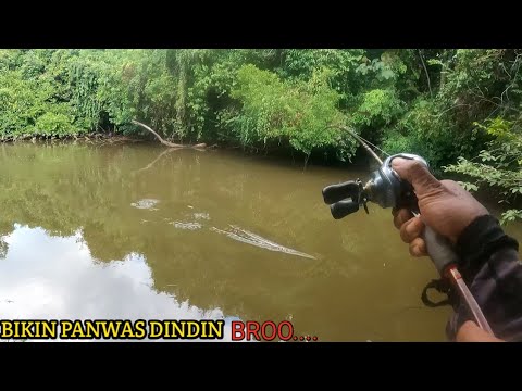 SEKALI LEMPAR LANGSUNG DI SAMBAR IKAN BESAR SAMPAI PANAS DINGIN || EFEK LAMA GK MANCING BRO...