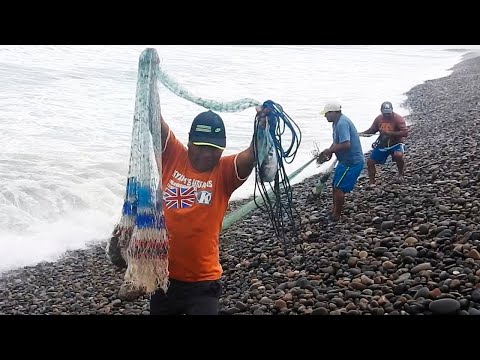 ¡Tres Pescadores Enfrentan el Mar Agitado y Llenan sus Atarrayas de Sorprendentes Capturas!