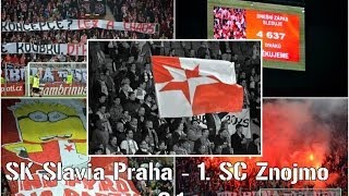 SK Slavia Praha - 1. SC Znojmo děkovačka