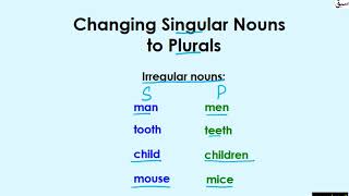 Changing Noun Number to Plural Part 2