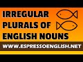 Mastering Irregular Plurals in English Nouns