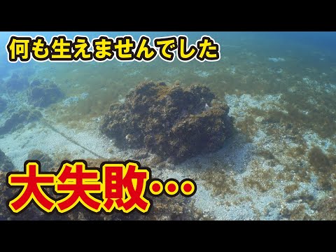 大失敗。１本も海藻が生えなかった藻場再生の方法