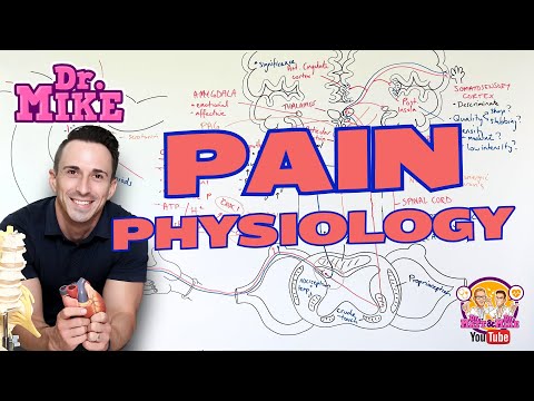 Pain Physiology | Nociception