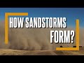 Sandstorm Knowledge Assessment