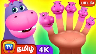 விரல் குடும்பம் - நீர்யானை (Finger Family Hippo) - Tamil Rhymes in 4K for Kids | ChuChu TV
