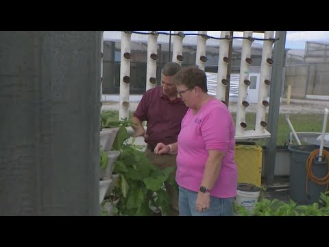 YouTube video thumbnail: How Some South Floridians Are Growing Their Own Produce by Using Hydroponics