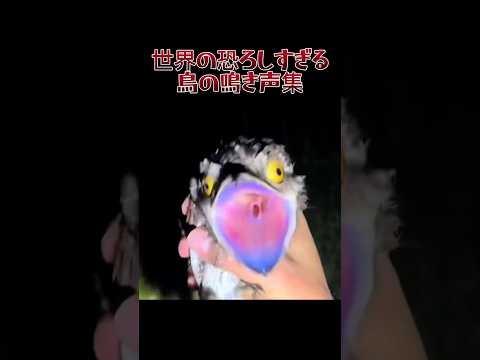 この音が聞こえたら逃げろ