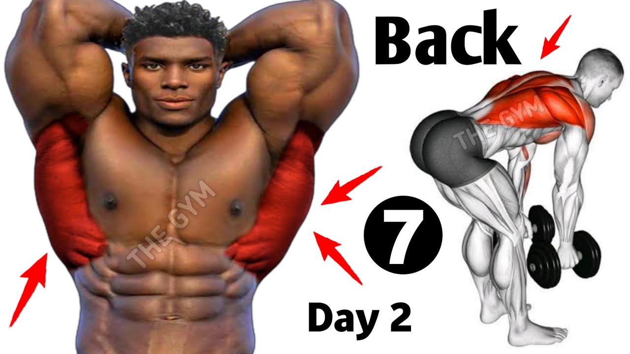 7 Big Back Exercises – Day 2 Back Workout – THE GYM