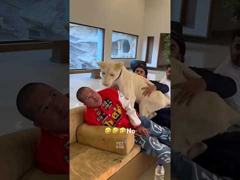 Funny Animals ๐คฃ๐ #funnyanimals #animals #pets #short