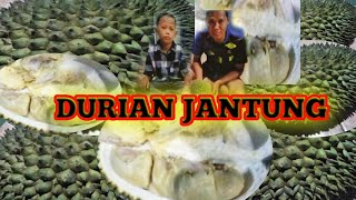 DURIAN JANTUNG LAPER