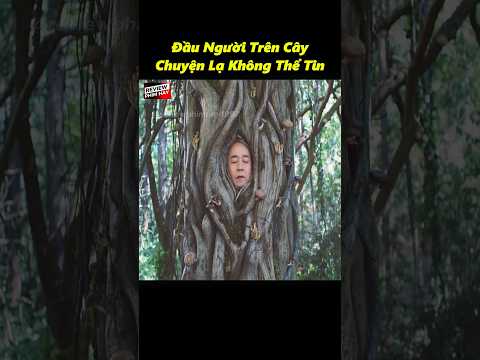 Đầu Người Trên Cây Chuyện Lạ Không Thể Tin #ReviewPhimHay1997