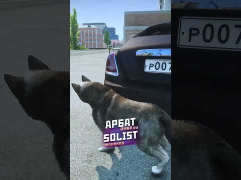 ПРЕВРАТИЛ НАРУШИТЕЛЯ ПДД В СОБАКУ В ГТА 5 (GTA 5 RMRP / Криминальная Москва)