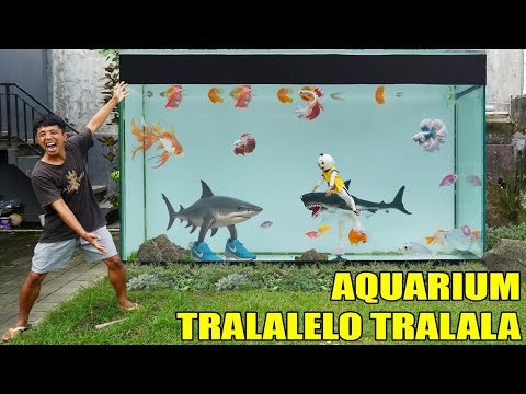 KITA BIKIN AQUARIUM TRALALELO TRALALA RAKSASA?!