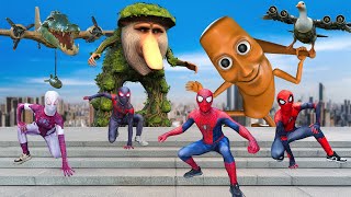 TEAM SPIDERMAN vs TEAM BRAINROT ANIMAL - Story of Transformation SUPERHERO SIREN HEAD
