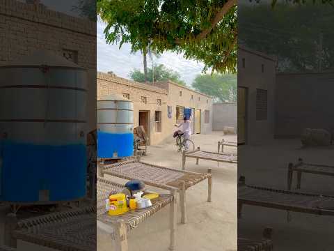 Stunning Village Life in Punjab #shorts
