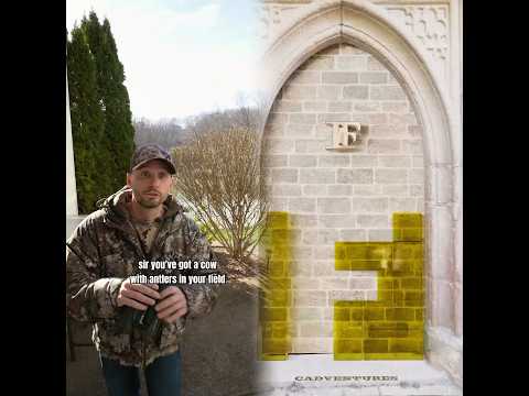 How bad you want that black deer 😂 #deer #countrylife #skit