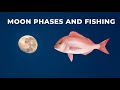 Fishing Strategies and Moon Phases