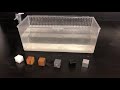 Density and Buoyancy Concepts