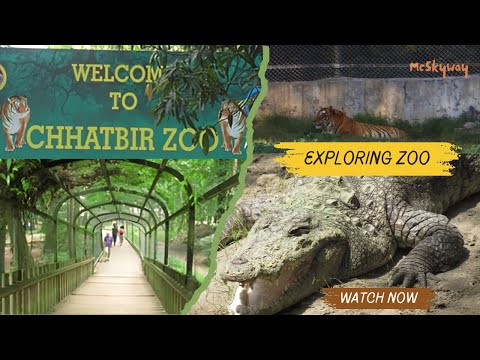 Wild Encounters - A Day at the Chhatbir Zoo | Zirakpur