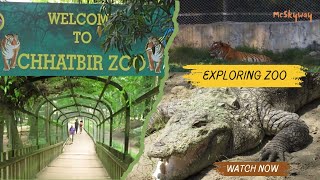 Wild Encounters - A Day at the Chhatbir Zoo | Zirakpur