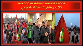 مجمك الشادس إستدرك سقوطه الحتمي وثورة الجياع قادمة لا محال منها أدخل المغرب تحت الحماية الاسرائلية