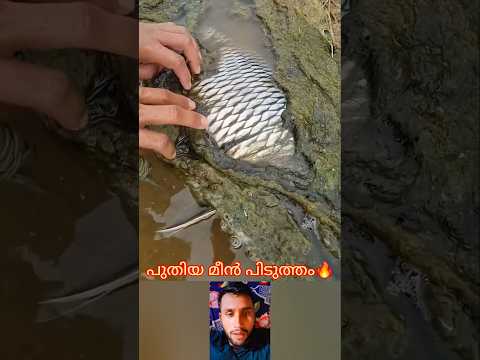 പുതിയ മീൻ പിടുത്തം #mallutraveler#fishingfreaks#shortsX#mallu#malayalam#m4tech
