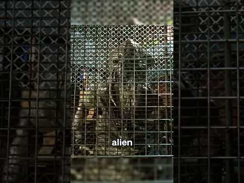 The alien is controlling humans through the parasite on the boy's back.#moviereview #futurelink