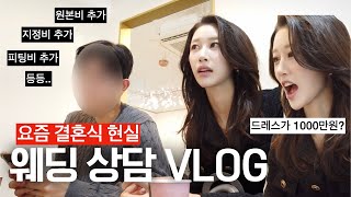 저, 결혼할 수 있을까요..? | 결혼식 가격 실화? 요즘 결혼식 가격 현실 드레스 1000만원?! 촬영 400만원, 무한 추가금 | 말도 안 되는 웨딩 상담 VLOG | 새니