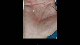 कमजोर ,कामुक और धनी बनाता हैं। #astrology #palmistry #hastrekhahindi
