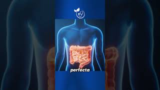 No ignore las señales de su colon #clinicadrvega #saludintestinal  #digestion #colonirritable